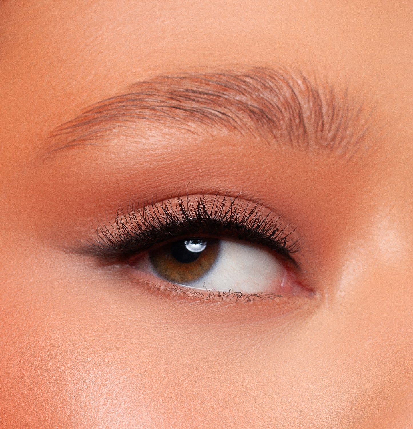 Kash Beauty Grace Lash