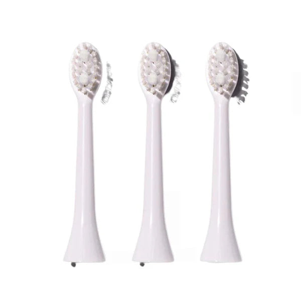 Spotlight Replacement Brush Heads for Sonic Toothbrush White 3PK