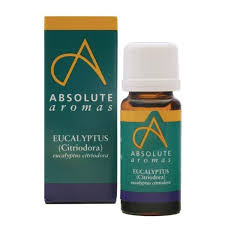 Absolute Aromas Eucalyptus Citriodora 10ml