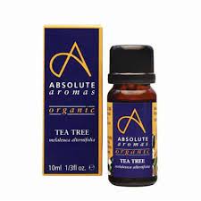 Absolute Aromas Org Tea Tree 10Ml