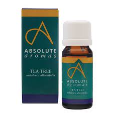 Absolute Aromas Tea Tree 10ml