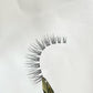 Kash Beauty Grace Lash