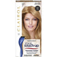 Clairol Root Touch Up No 7