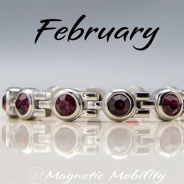 Magnetic Mobility February Birthstone 4In1 Element Bracelet